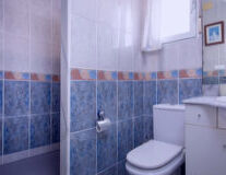 sink, bathroom, indoor, plumbing fixture, bathtub, wall, shower, tap, toilet, bathroom accessory